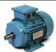 美國C.E. Niehoff電機(jī)