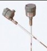 德國(guó)BRAUN探頭