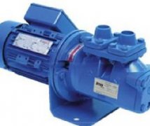 德國(guó)BRUENINGHAUS泵