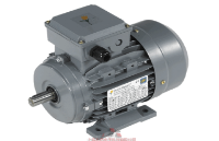 荷蘭Dutchi Motors電機(jī)