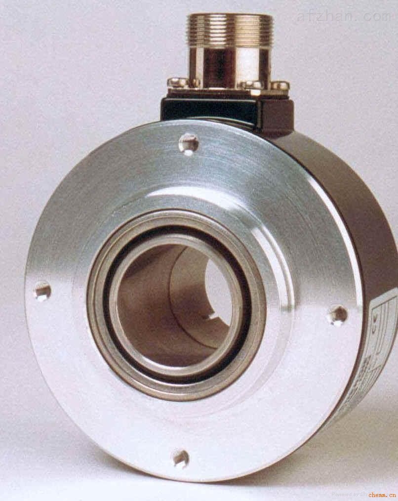 土耳其HAYDEM齒輪泵