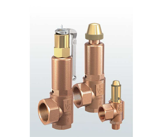 供應意大利BESA安*閥